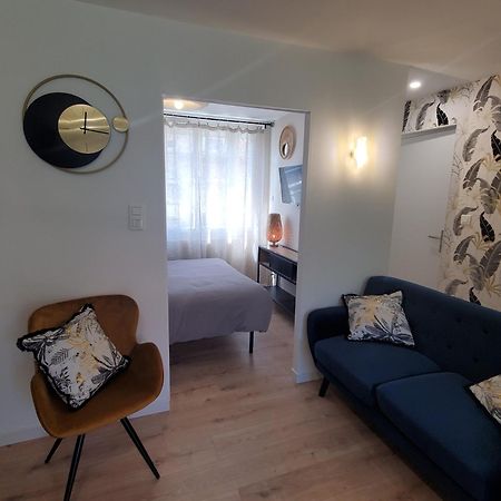 Joli Appart 2 Chambres En Centre Ville - Parking Et Jardin Albi Exterior foto